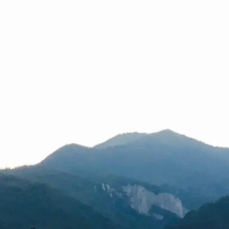 Apartamento Francesca House