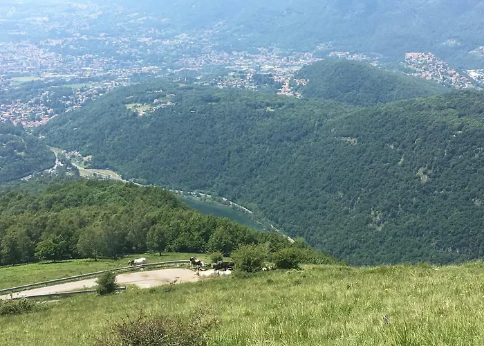 Francesca House * Erba