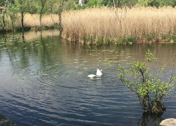 Francesca House شقة *